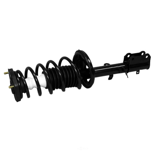 Coil&Strut Assy 171954 Econo