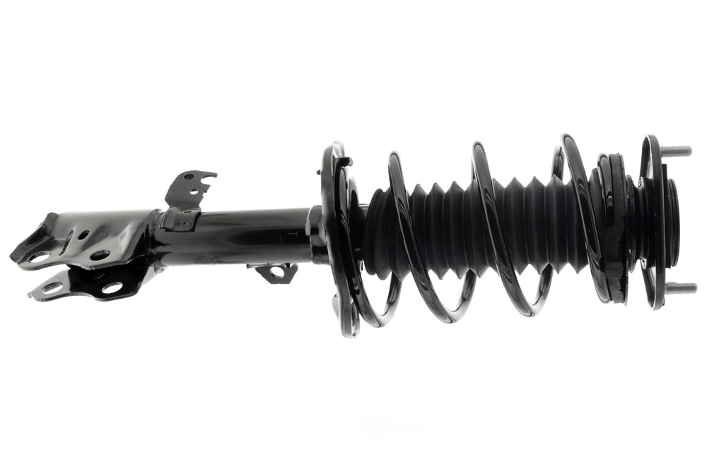 Coil&Strut 172990 Econo