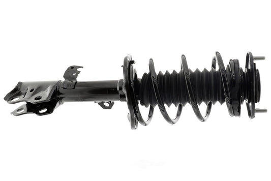 Coil&Strut 172990 Econo