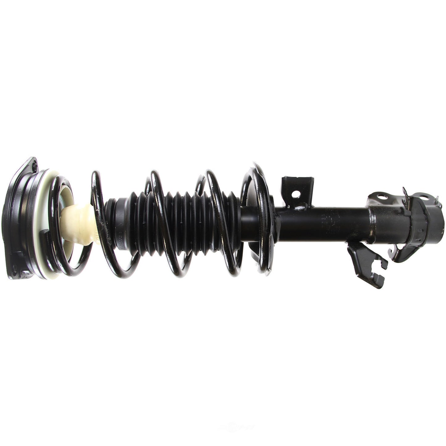 Coil&Strut Assy 172351 Econo
