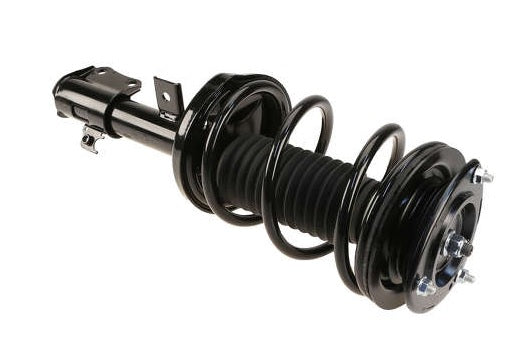 Coil&Strut Econo 172468