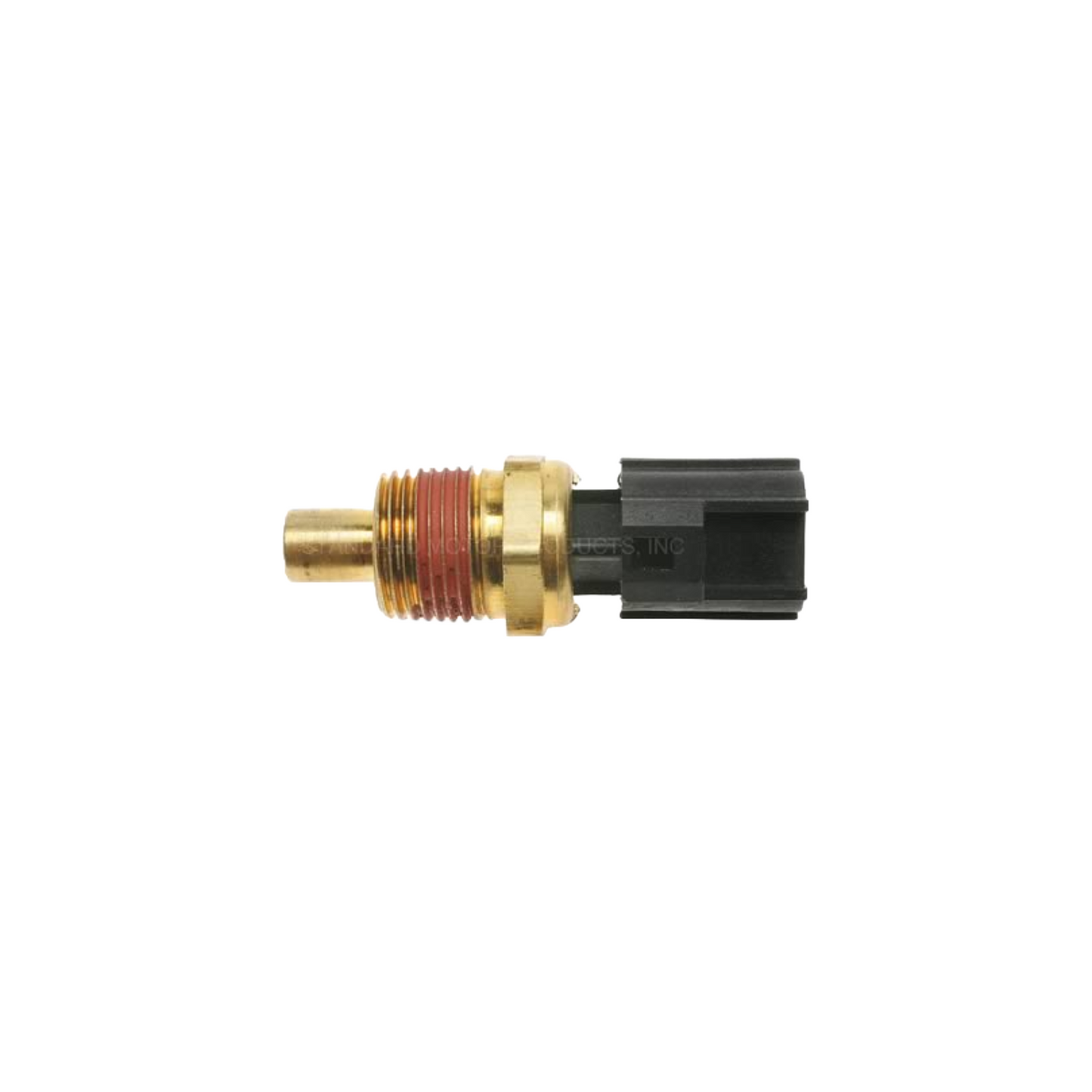Cebollita Temp Ts376
