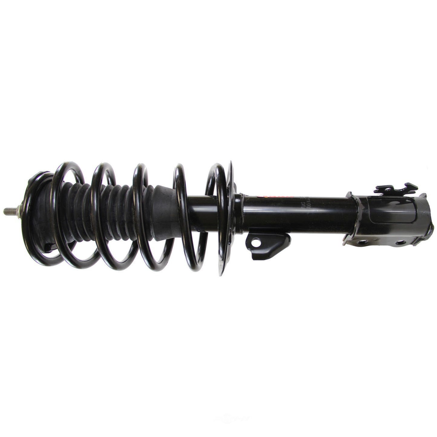 Coil&Strut Assy 172288 Econo