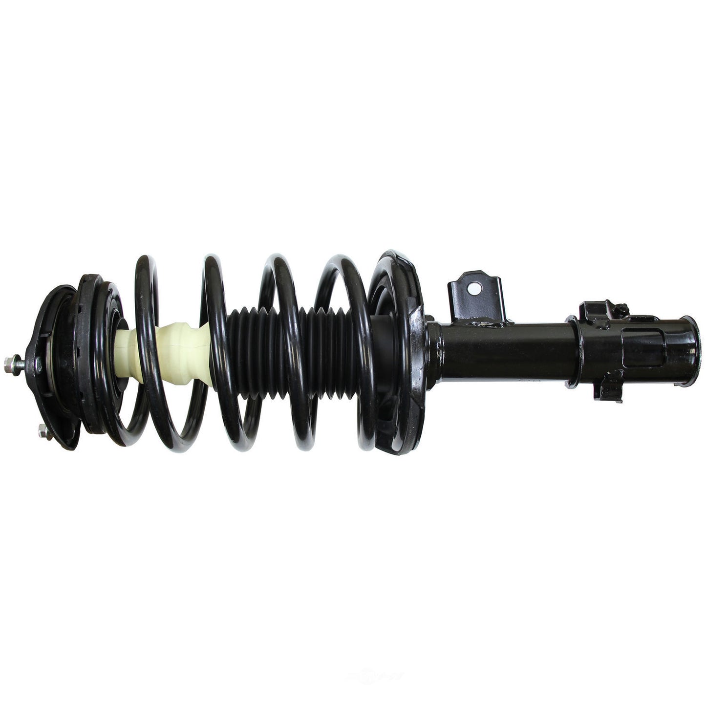 Coil&Strut Econo 172297