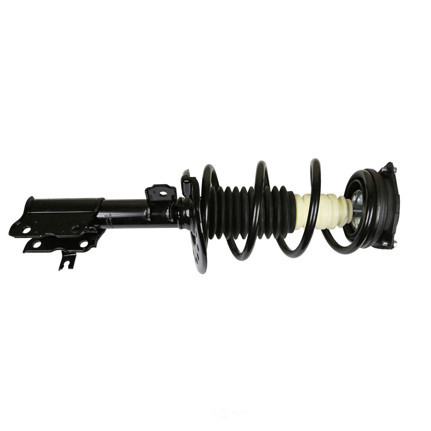 Coil&Strut Econo 172608