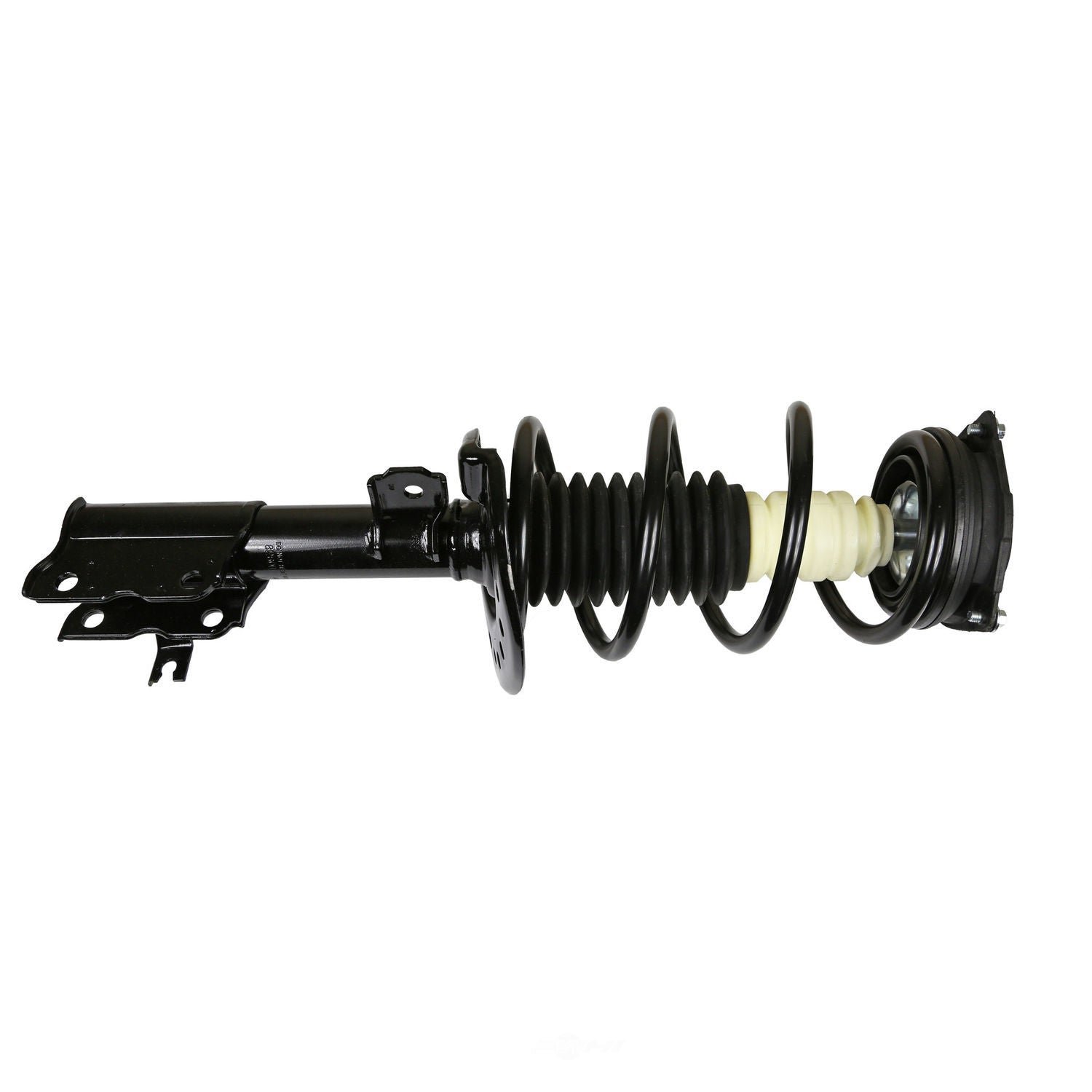 Coil&Strut Econo 172608