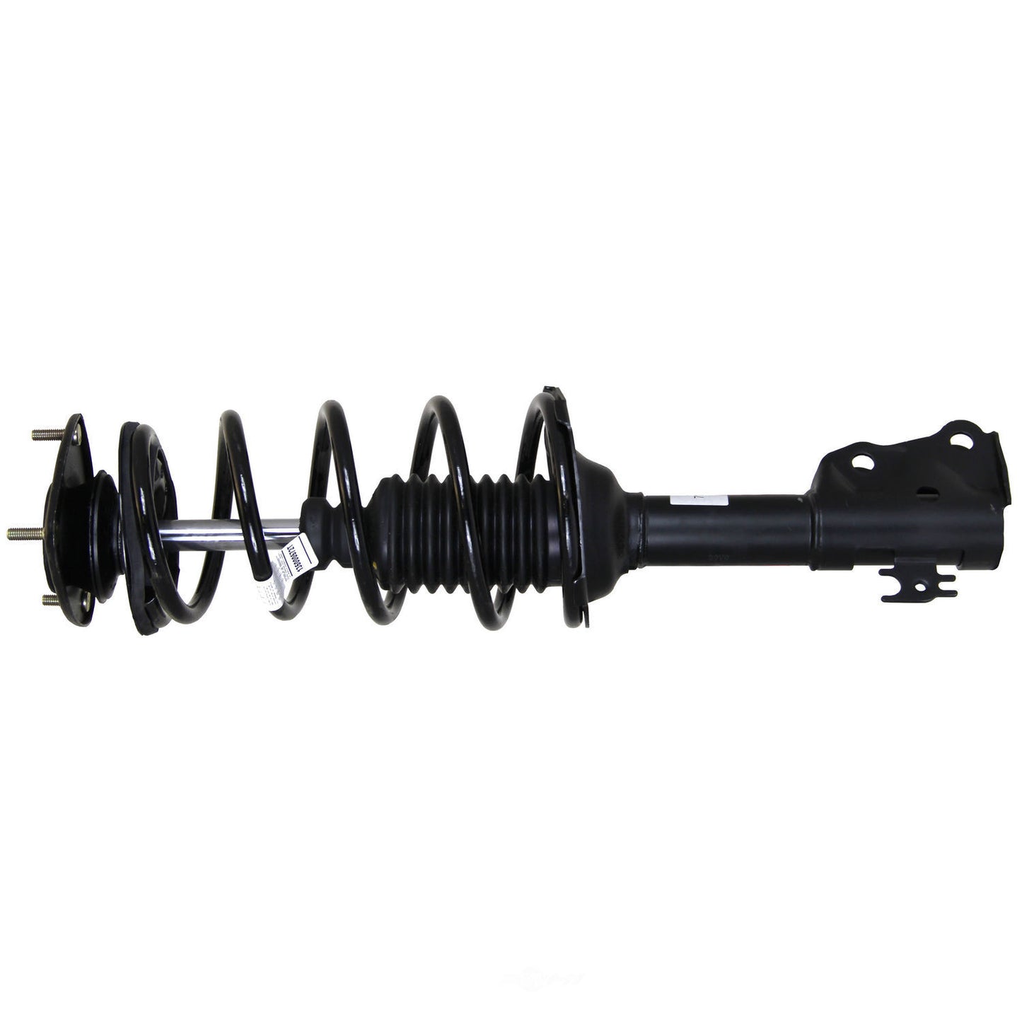 Coil&Strut Econo Front Echo