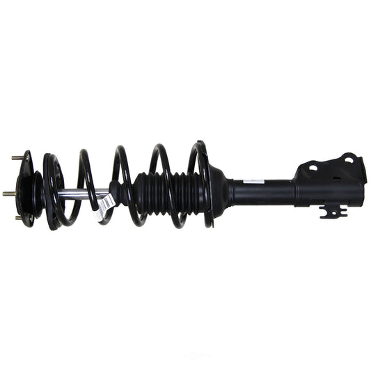 Coil&Strut Econo Front Echo