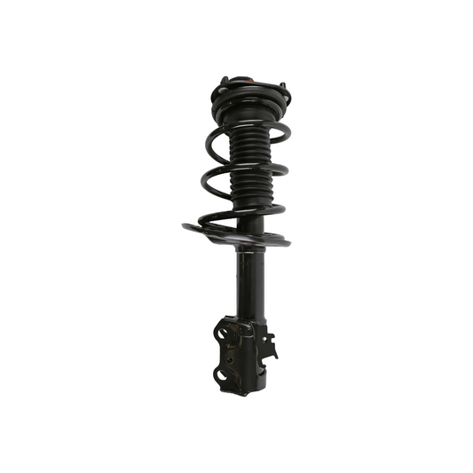 Coil&Strut Tc 11-16 Lh