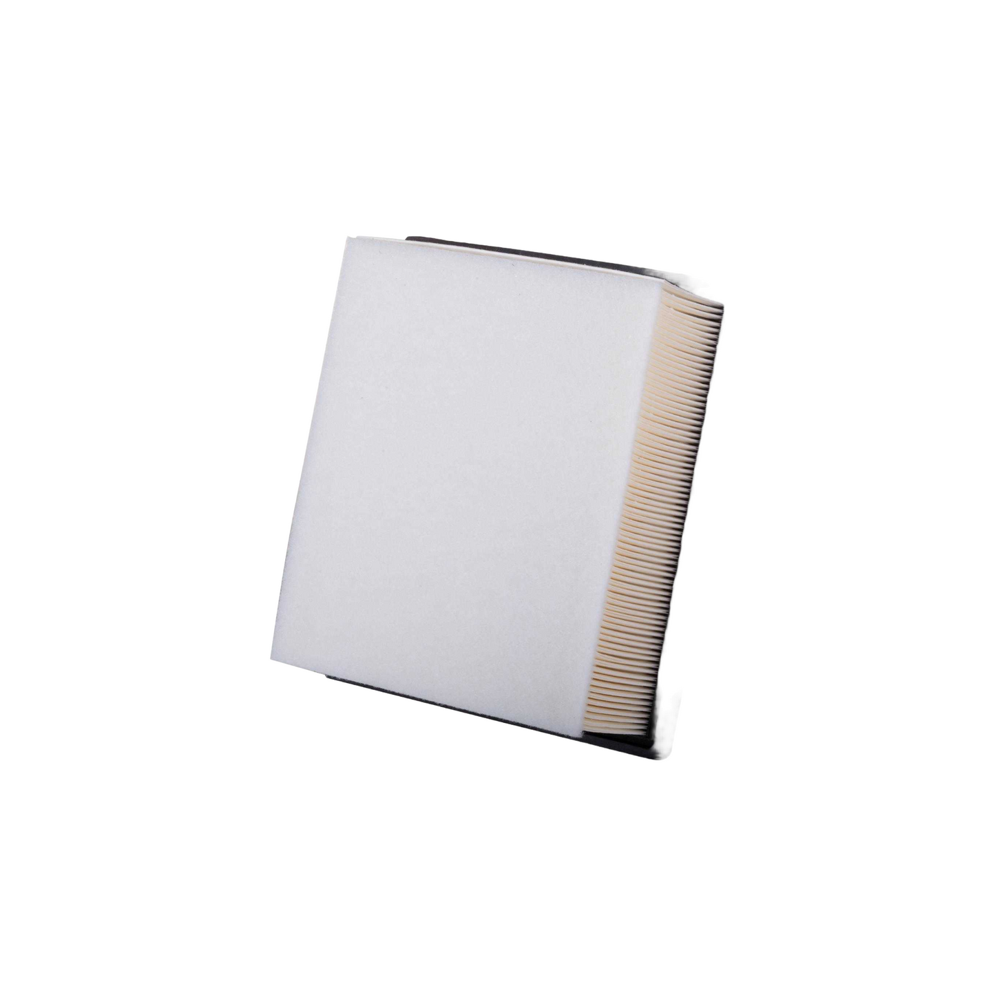 Filtro Aire Af99095