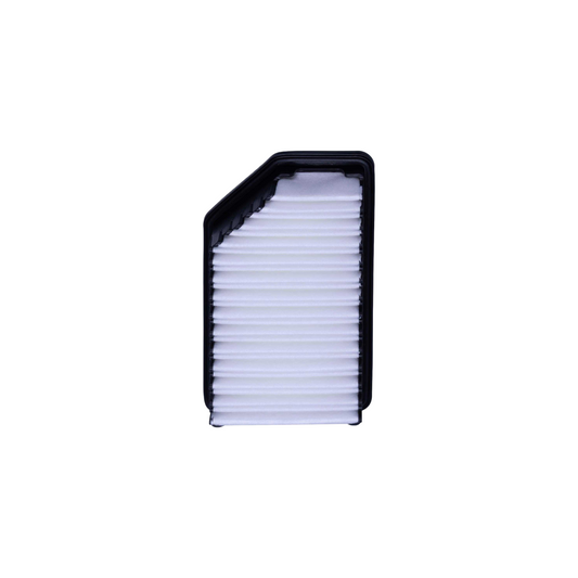 Pab11206