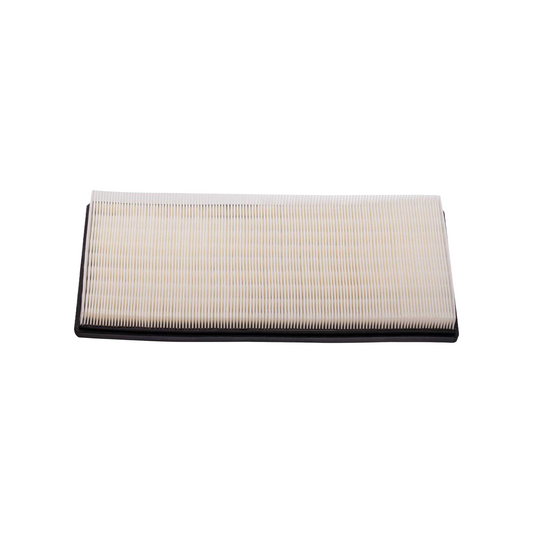 Pab8969