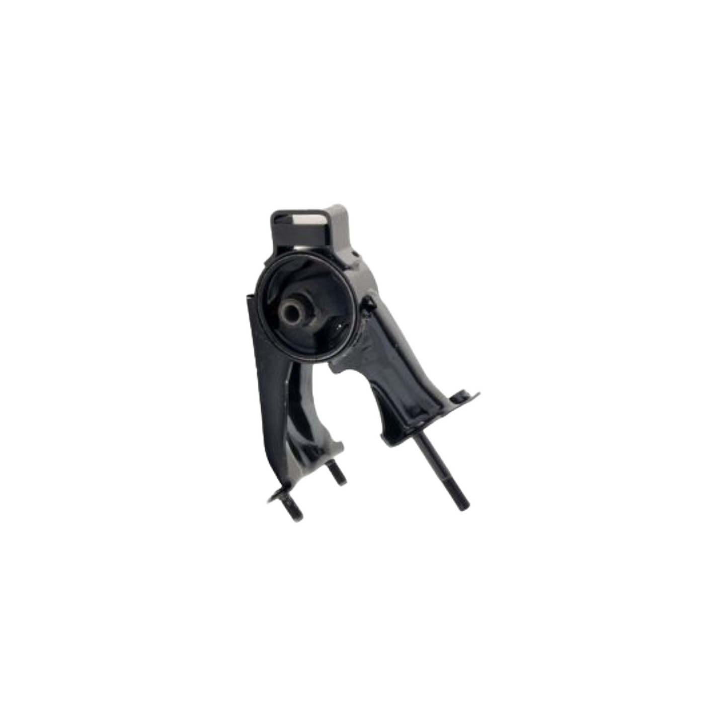 S/Motor Cor/Mtx 03-08 Rear All