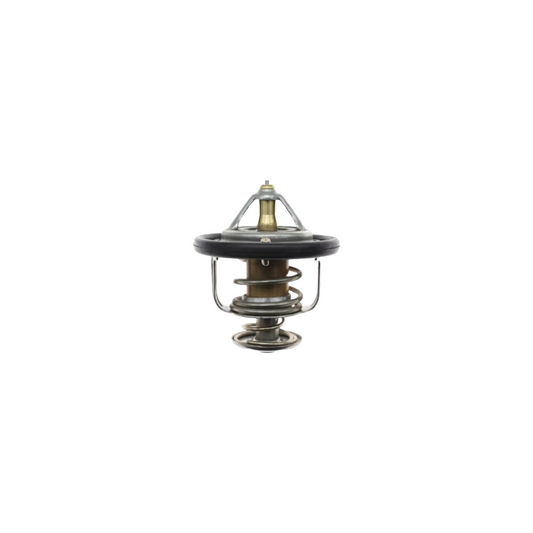 Termostato 1767077E10