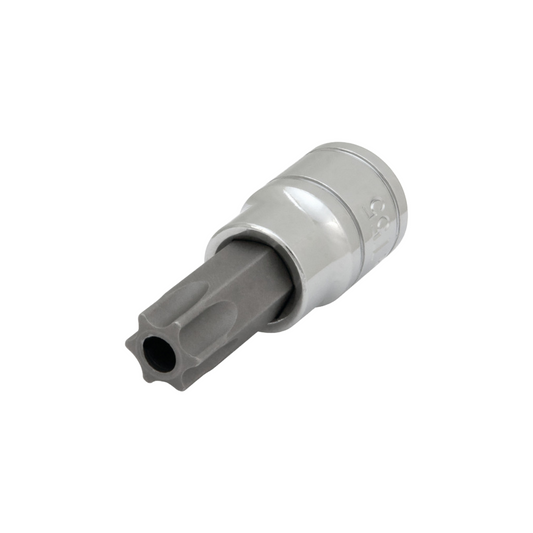 Tools 3/8 Dr T55 Tamper Resist
