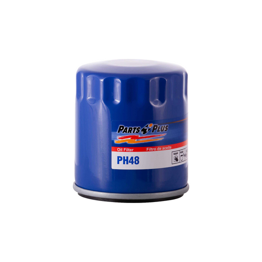 Plb10060