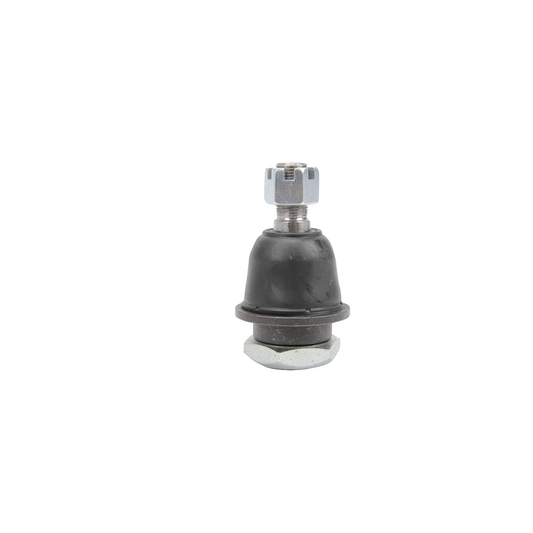 Ball Joint Low Frontier 98-04